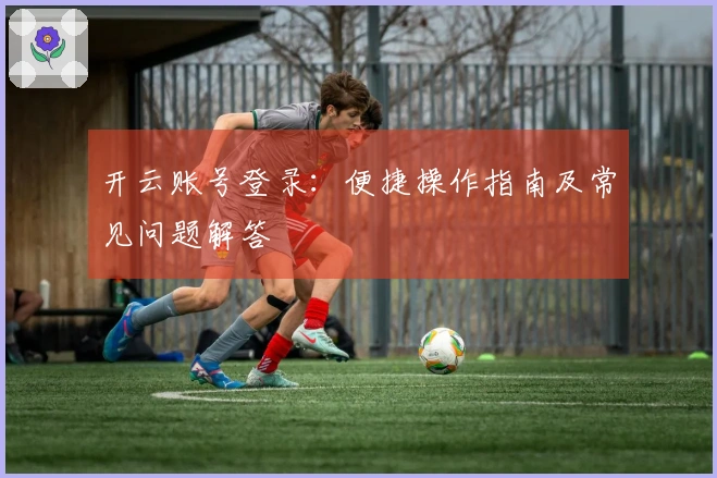 开云账号登录：便捷操作指南及常见问题解答