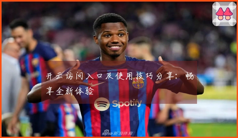 开云访问入口及使用技巧分享:畅享全新体验